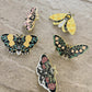 Yellow, Black and White Butterfly - ENAMEL PIN