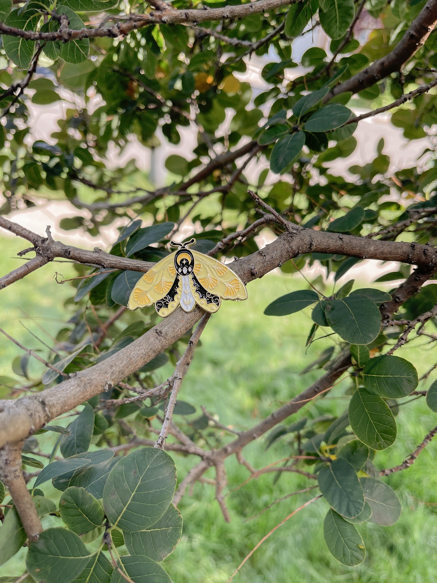 Yellow, Black and White Butterfly - ENAMEL PIN